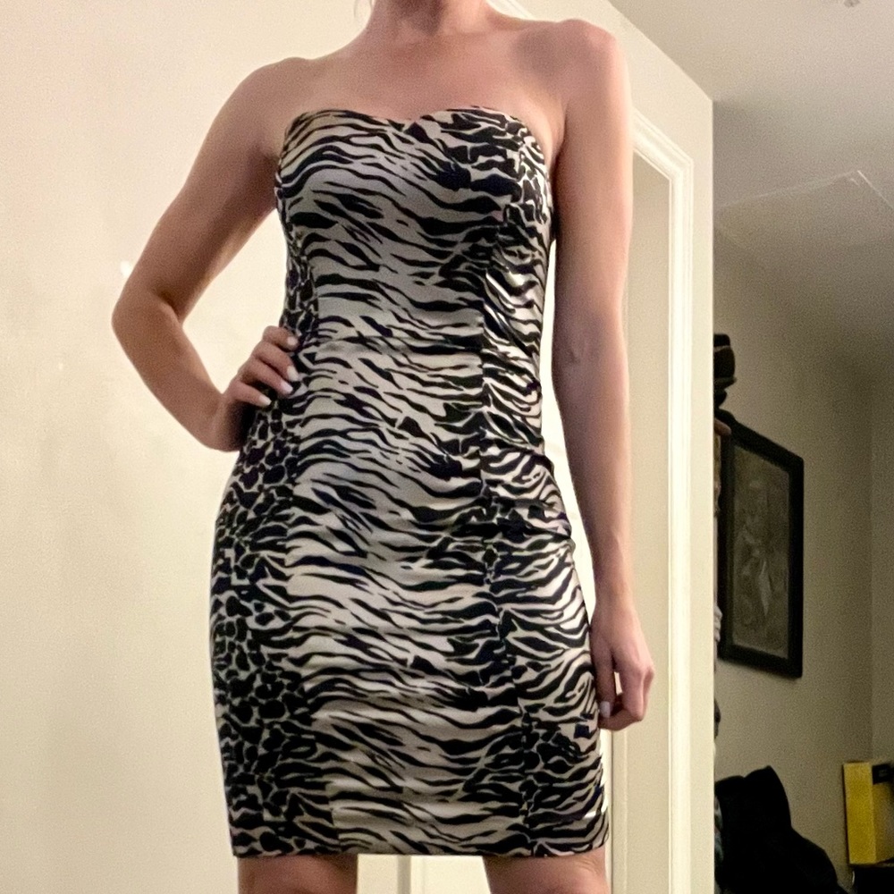 Corey Lynn Calter Mini Silk Zebra printed dress. Size 4 New